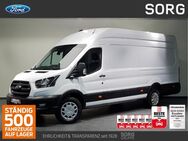 Ford Transit, 2.0 EcoBlue 350 L4 Trend EXPRESS-LINE, Jahr 2023 - Fulda