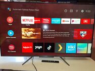 Tcl 55 Zoll TV smart 4 k Android - Kassel