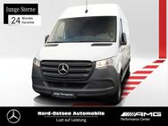 Mercedes Sprinter, 317 L2H2 MBUX Holzboden, Jahr 2023 - Heide