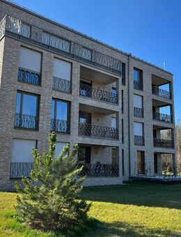 Schöne Erdgeschosswohnung mit Souterrain und großer Terrasse! Haar - Whg. Nr. 3 - Haar