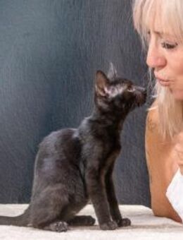 Samantha, ein liebes Katzenkind - Brunstorf