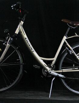 Ein Modernes GIANT Explorer Fahrrad, B25/216 - Aarau