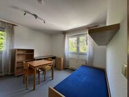 Möblierte moderne 1-Zimmer-Etagenwohnung in Bayreuth - Roter Hügel - Bayreuth