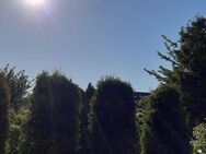 2-er Frauen WG herrlicher Garten, Pool, private Atmosphäre, sonnig - Erftstadt