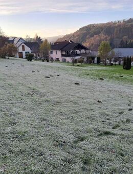 EFH mit Nebengebäude, Doppel-Carport und großem Grundstück (ca. 3.239 m²) in einer einmaligen und sehr ruhigen Ortsrandlage in einer Sackgasse von dem - Biersdorf (See)