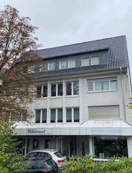Single - Wohnung in Meschede Stadtmitte ab 01.01. 2026, evtl. früher zu vermieten - Meschede (Kreis- und Hochschulstadt)