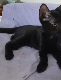 Kleine Olivia möchte die Welt entdecken! - Bergkirchen