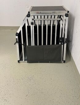Hundebox BMW - Steinen (Baden-Württemberg)