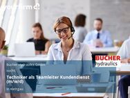 Techniker als Teamleiter Kundendienst (m/w/d) - Klettgau