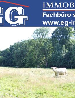 Mit der Kuh auf Du und Du - Bad Salzuflen