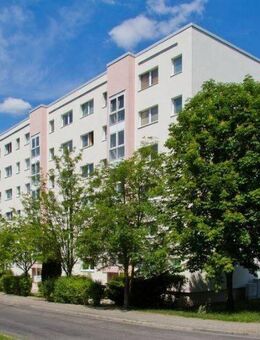 Aktuelle Renovierung einer familienfreundlichen 3-Raum-Wohnung mit Balkon! - Dresden