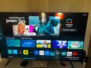 Samsung 65 zoll - Brühl (Nordrhein-Westfalen)