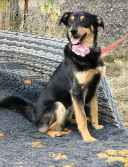 MIA-Prinzessin sucht ihr Königreich - Mönchengladbach