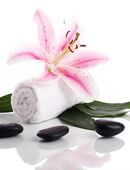 China-Korea-Massage in Rheinfelden Ihr Pfad zu tiefem Wohlbefinden und purer Entspannung! in 79618