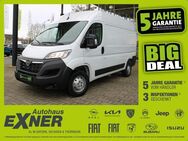 Opel Movano Cargo Kasten 2.2 L2H2 3,5t Klima - Hof