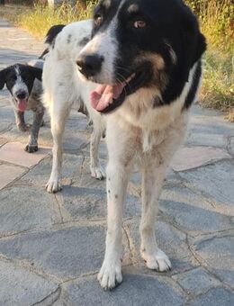 Smart, smarter - Zoe-Lina! - Mettmann