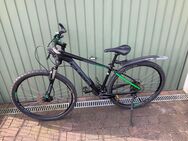 Mountainbike Cube - Wassenberg