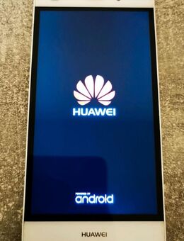 Huawei P8 lite Dual-SIM Smartphone - Naunhof