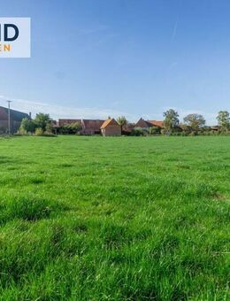 Historisches Bauernhaus mit Scheunen, Stallungen und Weidefläche in Diemelstadt Dehausen! - Diemelstadt