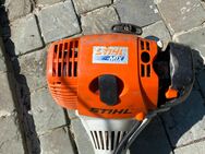 Hochentaster Stihl 101 - Langballig