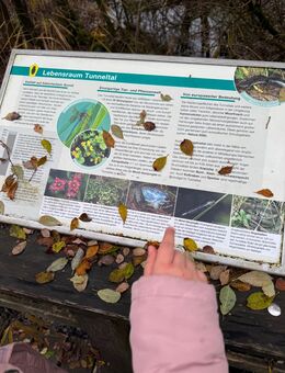 2€ Münze Luxemburg 2016 - Ahrensburg