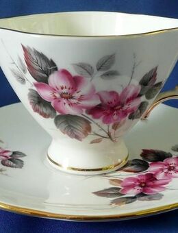 Hammersley fine bone China Sammeltasse, 2teilig - Niederfischbach