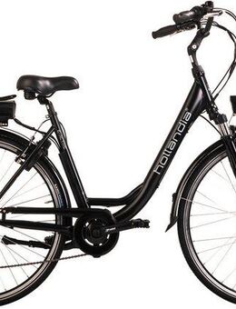 Adore E-Bike Cityrad E-Active, 6 Gang Shimano Tourney Schaltwerk, Kettenschaltung, Frontmotor, 468 Wh, Pedelec, Elektrofahrrad für Damen u. Herren