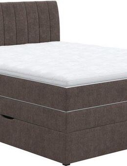 COTTA Boxspringbett Shark inkl. Bettkasten und Topper, erhältlich in den Breiten 140x200cm, 160x200cm und 180x200cm