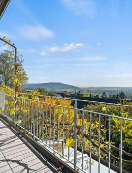Arbeiten, Leben, Genießen: Atemberaubende Aussicht mit Weinkeller - Gailingen (Rhein)