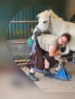 Hufpflege mit ♡, Barhufbearbeitung im Kreis Bad Segeberg und Kaltenkirchen, HoofCare, Ausschneiden - Bad Segeberg