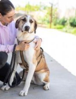 Gilbert wartet schon auf dich - München