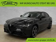 Alfa Romeo Giulia, 2.0 Competizione Q4 Turbo #, Jahr 2023 - Hof