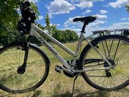 Fahrrad Citybike mit Helm & Schloss – Triumph Vita, Top Zustand - Berlin