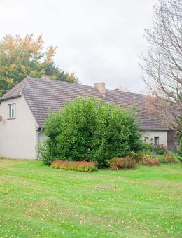 Sanierungsbedürftiges Einfamilienhaus mit Stall und Scheune in idyllischer Feldrandlage von Groß Kordshagen - Groß Kordshagen