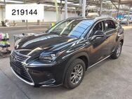 Lexus NX 300h LED Vollleder Navi 17" Kamera Klimaaut - Steinbach-Hallenberg