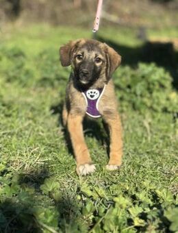 NEEMA ❤️ unser kleiner Segen - Mylau