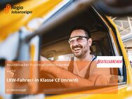 LKW-Fahrer/-in Klasse CE (m/w/d) - Weinstadt