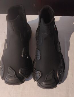 Sneaker und Sportschuhe - Kaiserslautern