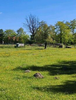 Idyllisches Landhaus mit attraktiven Bauerwartungsland in der Nähe des Schlabendorfer Sees. - Luckau