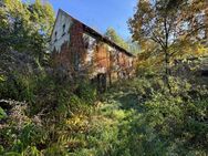 Haus in Alleinlage: Ihr Rückzugsort in unberührter Natur - Eisenberg (Thüringen)