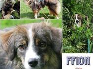 FFION * sanftes anhängliches Mädchen - Duisburg