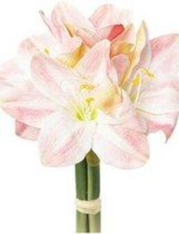 Winterliche Kunstpflanze Weihnachtsdeko Amaryllis, Creativ green, Höhe 32 cm, 3 Stück Bund aus je 3 Stielen