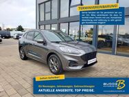 Ford Kuga 2.0 EcoBlue Autom. ST-Line X / AHK / B&O - Warstein