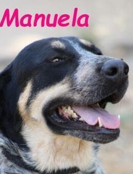 Manuela harmonisch und sozial 12/23 ESP - Ruppertsecken