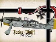 Schönes Blechschild Flugzeug Focke Wulff Fw 190 A 20x30 cm - Hamburg