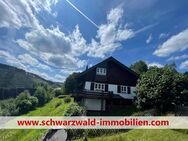 Holz und Ruhe, Aussicht dazu - DHH mit 3,5 Zi. auf 3 Etagen mit kleiner Garage - Feldberg (Schwarzwald)