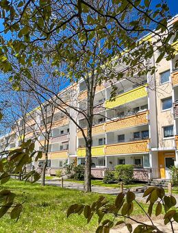 Wohnvergnügen verteilt auf 3 Zimmer - Zwickau