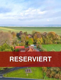 Deichnahes Wohnhaus mit großem Grundstück und Weideteilfläche - Dornum