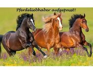 Exklusives Anwesen in Traumlage für Pferdeliebhaber am Rande des Naturschutzgebietes der Haard !!! - Oer-Erkenschwick