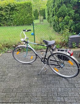 Herrenrad von Hercules ( gebraucht ) - Bergheim (Nordrhein-Westfalen)